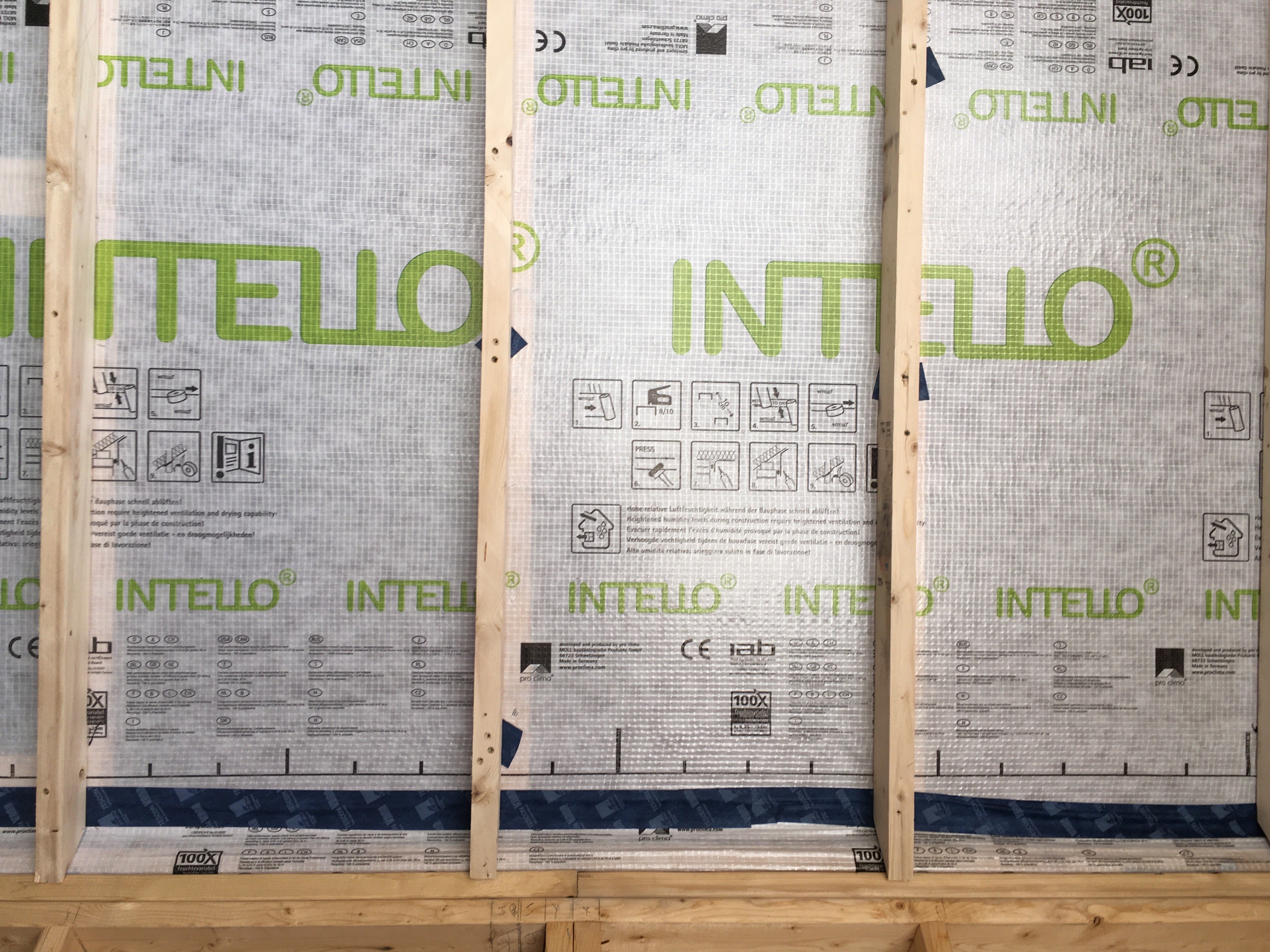 intello